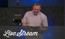 LiveStream